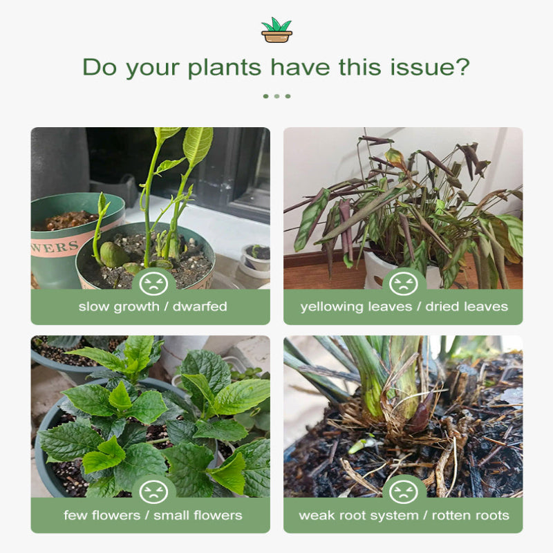 Universal Nutrient Tablets Plant (BUY 1 GET 1 FREE)