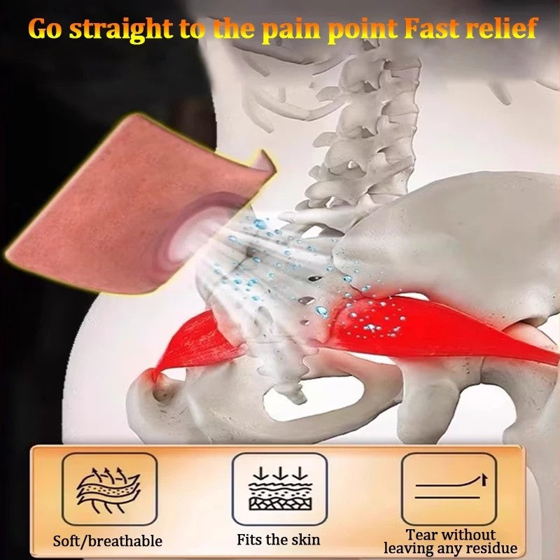 Japan Sciatica Pain Relief Patch – Pack of 12pcs ( BUY 1 GET 1 FREE )