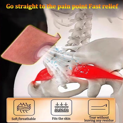 Japan Sciatica Pain Relief Patch – Pack of 12pcs ( BUY 1 GET 1 FREE )