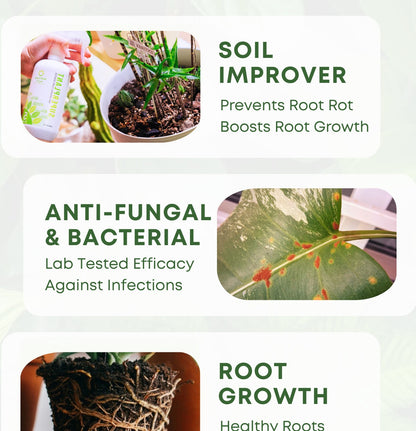 SuperPlant 5 in 1 Organic Plant Booster
